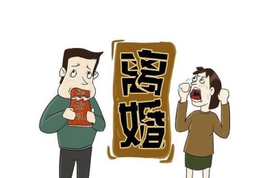 离婚诉讼标的金额怎么填写（泰安律师专业方法的介绍）